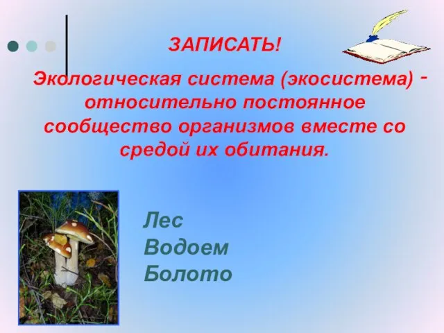 ЗАПИСАТЬ! Экологическая система (экосистема) ‑ относительно постоянное сообщество организмов вместе со