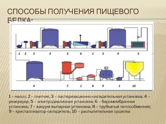 СПОСОБЫ ПОЛУЧЕНИЯ ПИЩЕВОГО БЕЛКА: 1 – насос; 2 – счетчик; 3