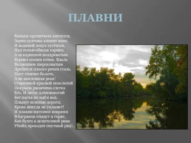 ПЛАВНИ Камыш крупитчато кистится, Зерно султаны клонит вниз. И водяной лопух