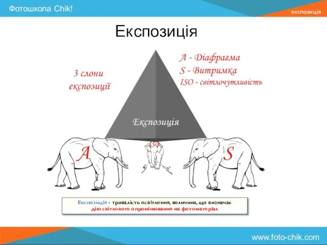 Експозиція Експозиція - тривалість освітлення, величина, що визначає дію світлового опромінювання на фотоматеріал експозиція