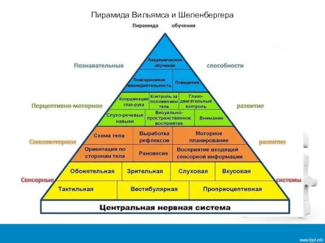 Пирамида Вильямса и Шеленбергера