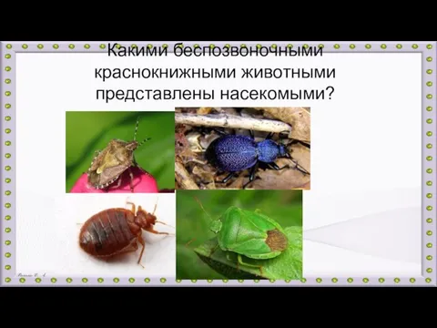 Какими беспозвоночными краснокнижными животными представлены насекомыми?