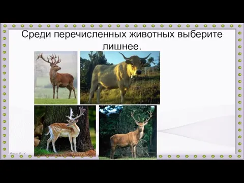 Среди перечисленных животных выберите лишнее.