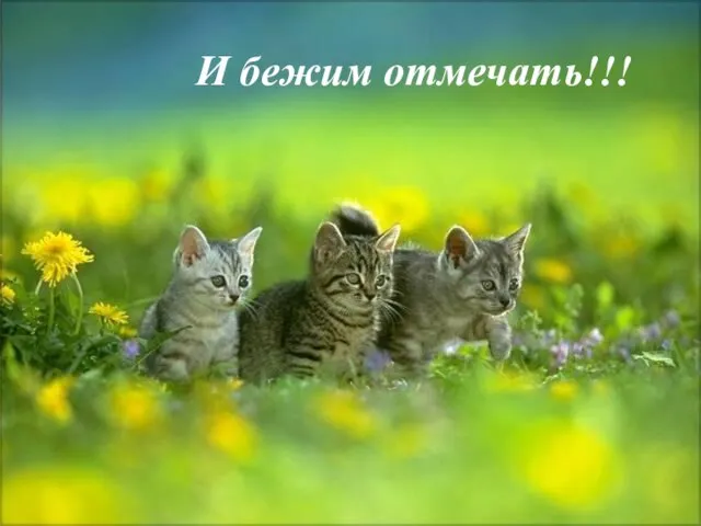 И бежим отмечать!!!