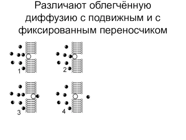 Различают облегчённую диффузию с подвижным и с фиксированным переносчиком