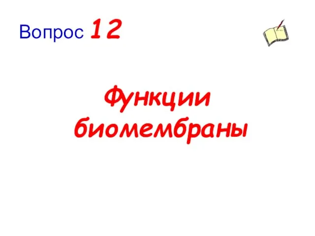 Вопрос 12 Функции биомембраны