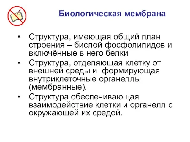 Биологическая мембрана Структура, имеющая общий план строения – бислой фосфолипидов и