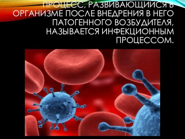 ПРОЦЕСС, РАЗВИВАЮЩИЙСЯ В ОРГАНИЗМЕ ПОСЛЕ ВНЕДРЕНИЯ В НЕГО ПАТОГЕННОГО ВОЗБУДИТЕЛЯ, НАЗЫВАЕТСЯ ИНФЕКЦИОННЫМ ПРОЦЕССОМ.