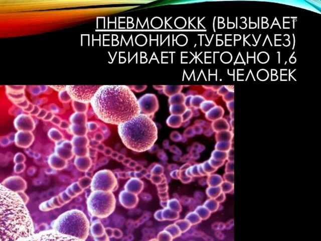 ПНЕВМОКОКК (ВЫЗЫВАЕТ ПНЕВМОНИЮ ,ТУБЕРКУЛЕЗ) УБИВАЕТ ЕЖЕГОДНО 1,6 МЛН. ЧЕЛОВЕК