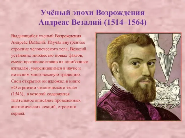 Учёный эпохи Возрождения Андреас Везалий (1514–1564) Выдающийся ученый Возрождения Андреас Везалий.