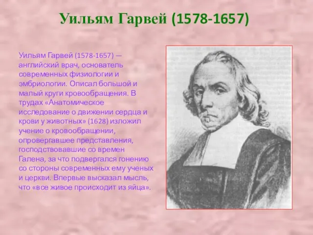 Уильям Гарвей (1578-1657) Уильям Гарвей (1578-1657) — английский врач, основатель современных