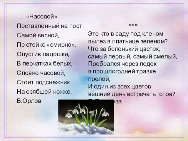 «Часовой» Поставленный на пост Самой весной, По стойке «смирно», Опустив ладошки,