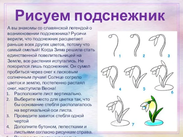 Рисуем подснежник А вы знакомы со славянской легендой о возникновении подснежника?