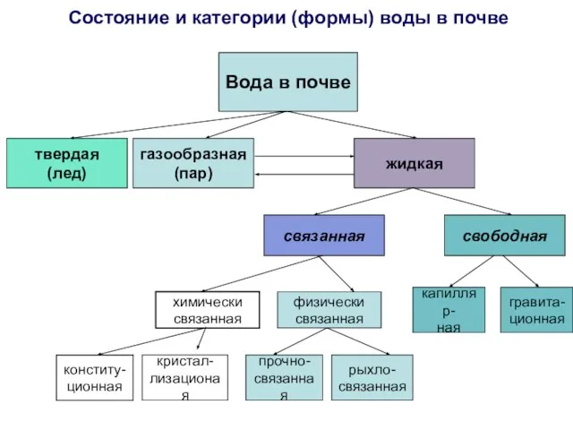 Состояние и категории (формы) воды в почве Вода в почве газообразная