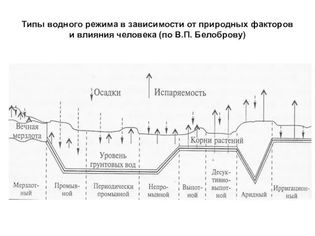 Типы водного режима в зависимости от природных факторов и влияния человека (по В.П. Белоброву)