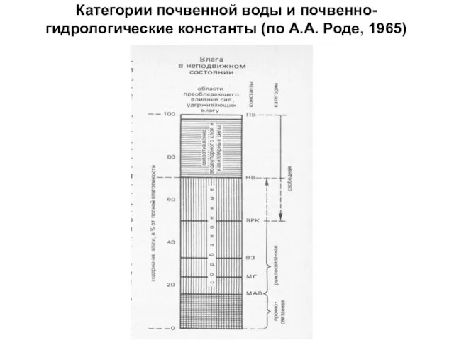 Категории почвенной воды и почвенно-гидрологические константы (по А.А. Роде, 1965)