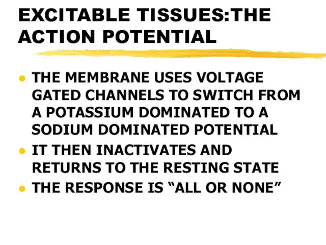 EXCITABLE TISSUES:THE ACTION POTENTIAL THE MEMBRANE USES VOLTAGE GATED CHANNELS TO