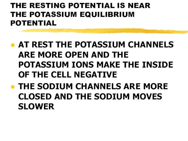 THE RESTING POTENTIAL IS NEAR THE POTASSIUM EQUILIBRIUM POTENTIAL AT REST
