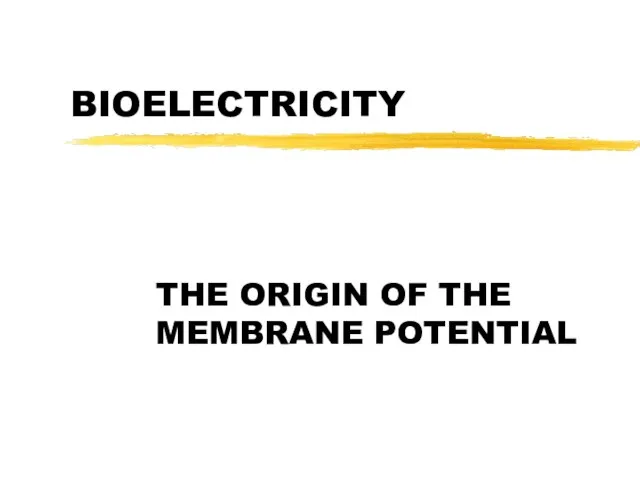 BIOELECTRICITY THE ORIGIN OF THE MEMBRANE POTENTIAL