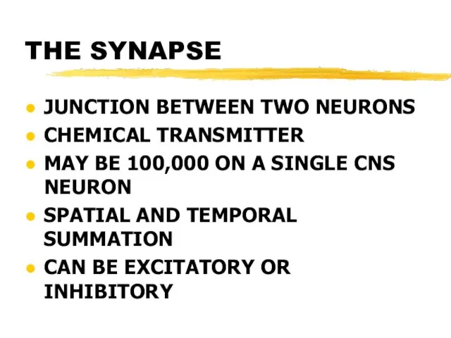 THE SYNAPSE JUNCTION BETWEEN TWO NEURONS CHEMICAL TRANSMITTER MAY BE 100,000