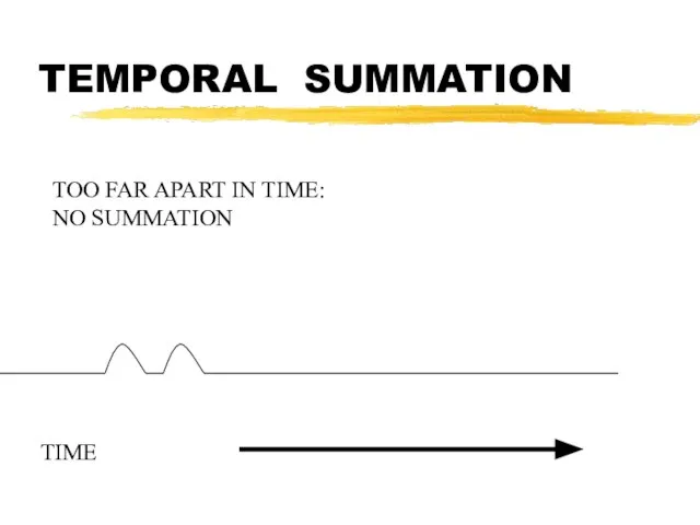 TEMPORAL SUMMATION TIME TOO FAR APART IN TIME: NO SUMMATION