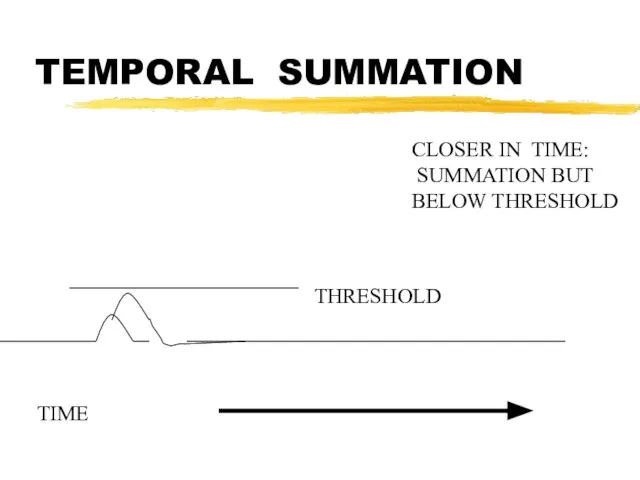 TEMPORAL SUMMATION TIME CLOSER IN TIME: SUMMATION BUT BELOW THRESHOLD THRESHOLD