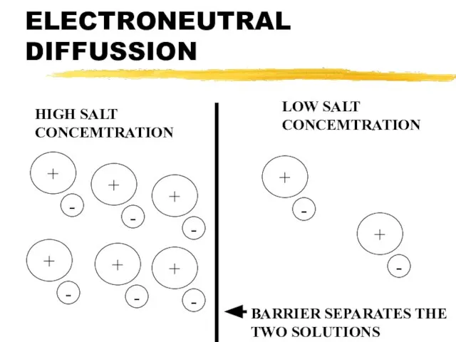 ELECTRONEUTRAL DIFFUSSION HIGH SALT CONCEMTRATION LOW SALT CONCEMTRATION BARRIER SEPARATES THE TWO SOLUTIONS