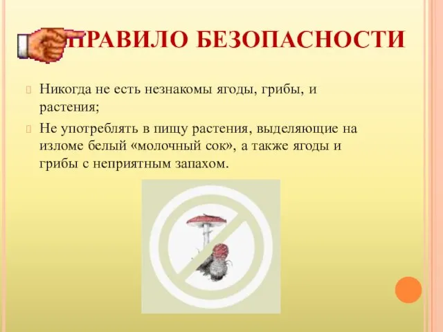 ПРАВИЛО БЕЗОПАСНОСТИ Никогда не есть незнакомы ягоды, грибы, и растения; Не