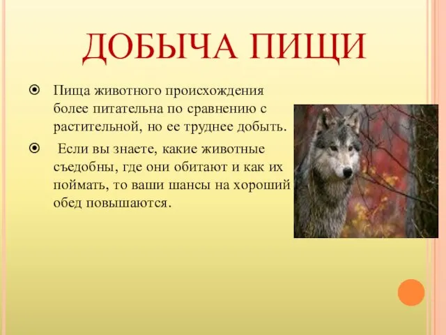 ДОБЫЧА ПИЩИ Пища животного происхождения более питательна по сравнению с растительной,