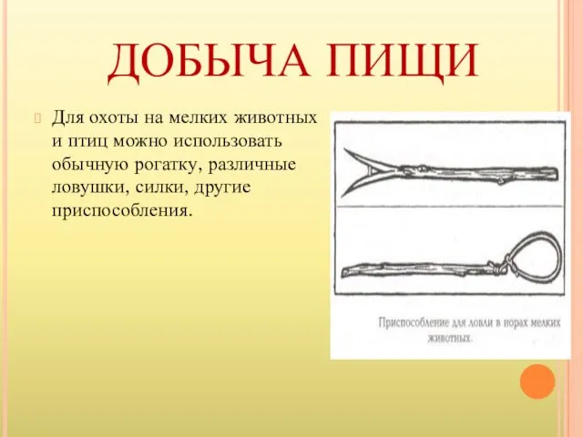 ДОБЫЧА ПИЩИ Для охоты на мелких животных и птиц можно использовать