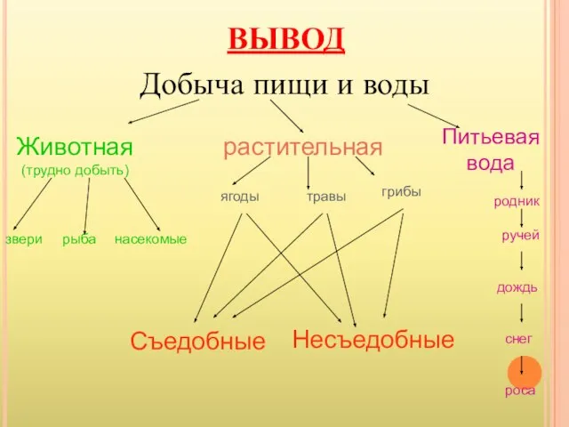 ВЫВОД Добыча пищи и воды Животная (трудно добыть)‏ растительная Питьевая вода