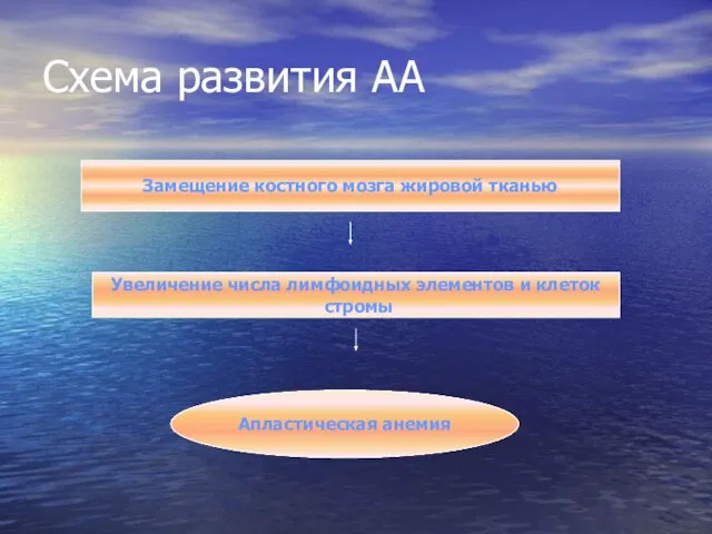 Схема развития АА Замещение костного мозга жировой тканью Увеличение числа лимфоидных