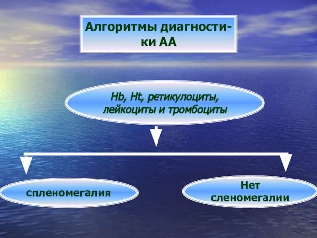 Алгоритмы диагности- ки АА Hb, Ht, ретикулоциты, лейкоциты и тромбоциты спленомегалия Нет сленомегалии