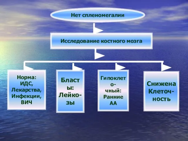 Нет спленомегалии Исследование костного мозга Норма: ИДС, Лекарства, Инфекции, ВИЧ Бласты: