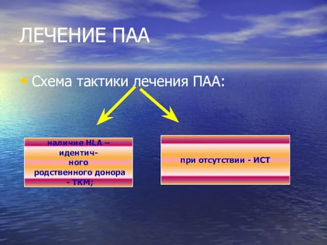 ЛЕЧЕНИЕ ПАА Схема тактики лечения ПАА: наличие HLA – идентич- ного