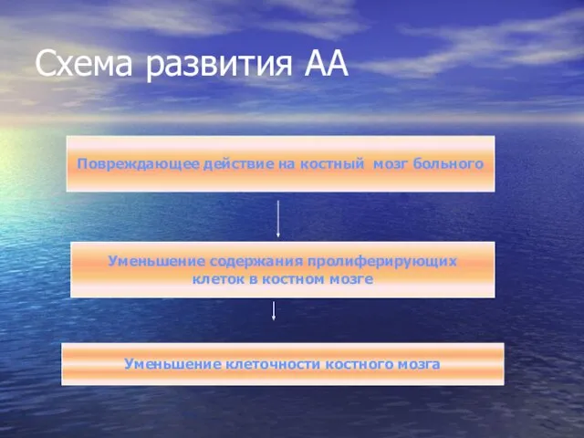 Схема развития АА Повреждающее действие на костный мозг больного Уменьшение содержания