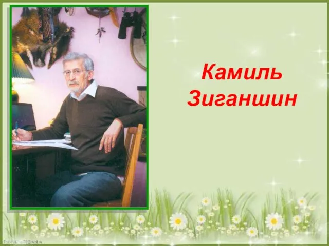 Камиль Зиганшин