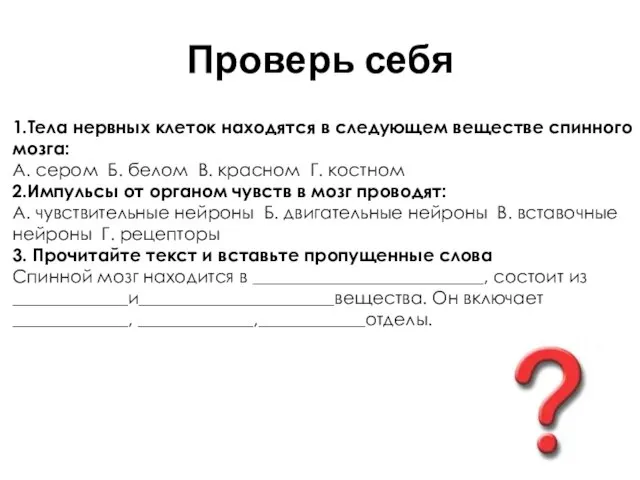 Проверь себя 1.Тела нервных клеток находятся в следующем веществе спинного мозга: