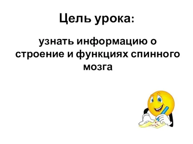 Цель урока: узнать информацию о строение и функциях спинного мозга