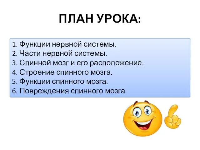 ПЛАН УРОКА: 1. Функции нервной системы. 2. Части нервной системы. 3.