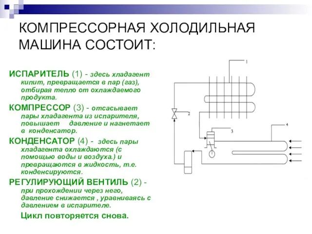 КОМПРЕССОРНАЯ ХОЛОДИЛЬНАЯ МАШИНА СОСТОИТ: ИСПАРИТЕЛЬ (1) - здесь хладагент кипит, превращается