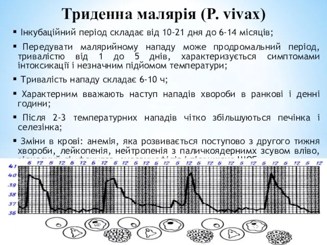 Триденна малярія (P. vivax) Інкубаційний період складає від 10-21 дня до