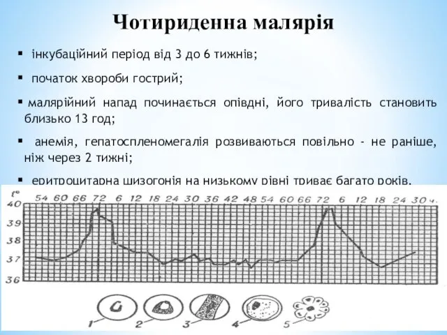 Чотириденна малярія інкубаційний період від 3 до 6 тижнів; початок хвороби