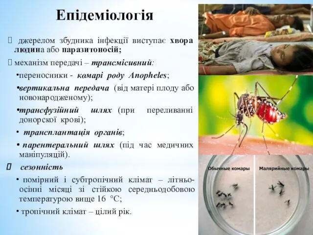 Епідеміологія джерелом збудника інфекції виступає хвора людина або паразитоносій; механізм передачі