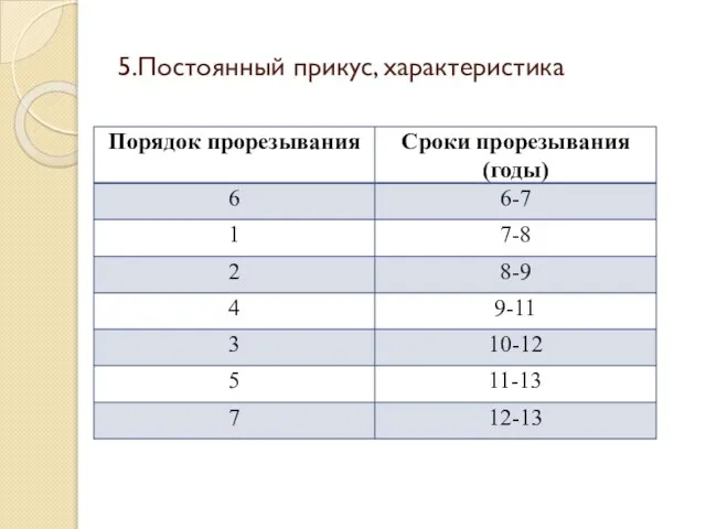 5.Постоянный прикус, характеристика