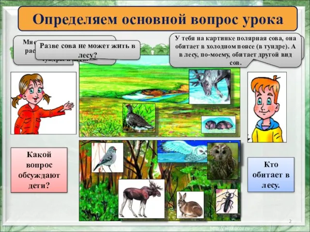 Определяем основной вопрос урока Мне кажется, я правильно распределила обитателей тундры