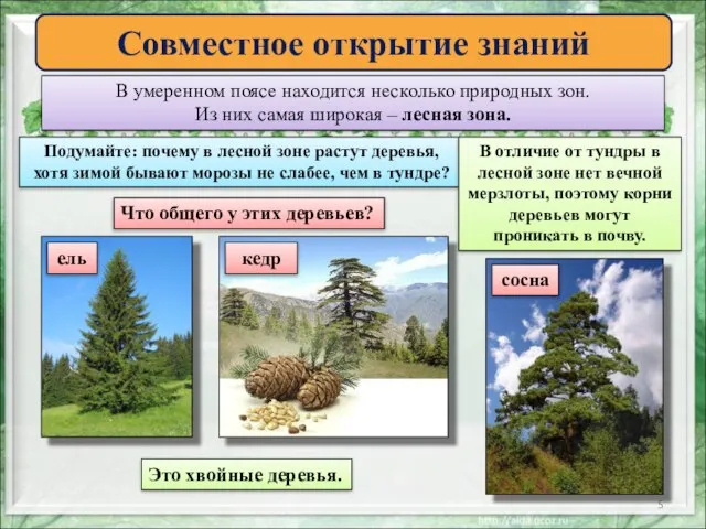 Совместное открытие знаний В умеренном поясе находится несколько природных зон. Из