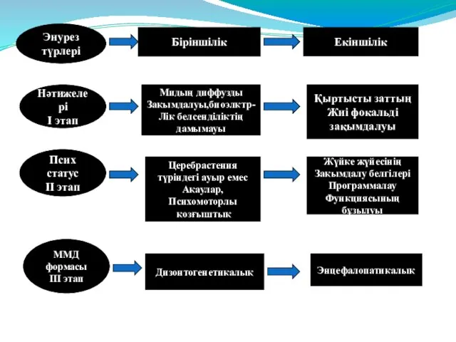 Энурез түрлері Біріншілік Екіншілік Нәтижелері І этап Мидың диффузды Зақымдалуы,биоэлктр- Лік