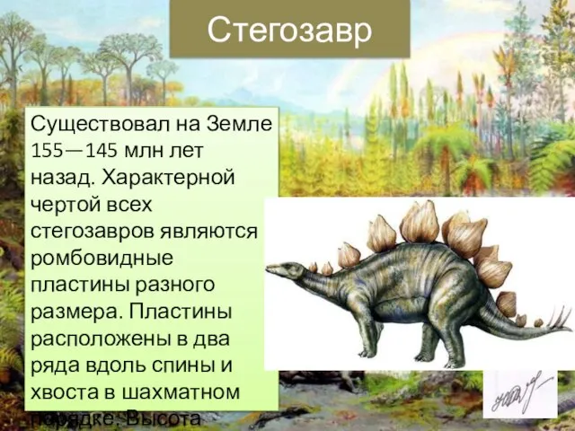 Стегозавр Существовал на Земле 155—145 млн лет назад. Характерной чертой всех