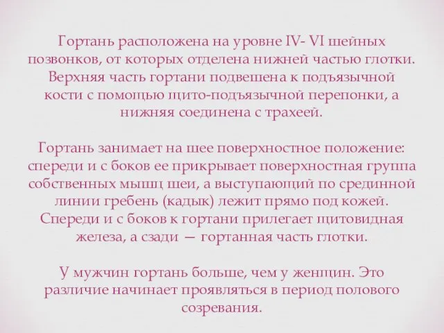 Гортань расположена на уровне IV- VI шейных позвонков, от которых отделена